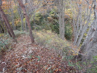 DSCN7254.JPG