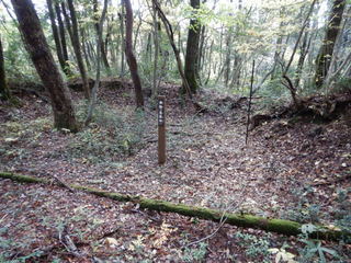 DSCN7365.JPG