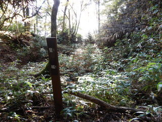 DSCN7395.JPG