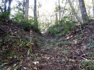 DSCN7398.JPG