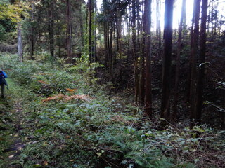 DSCN7422.JPG