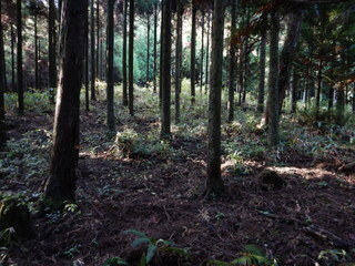 DSCN7428.JPG
