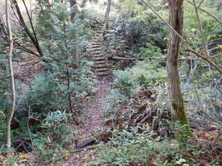 DSCN7474.JPG