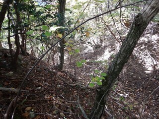 DSCN7509.JPG