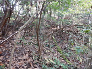 DSCN7542.JPG