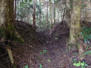 DSCN7595.JPG