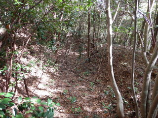 DSCN7638.JPG