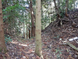 DSCN7658.JPG