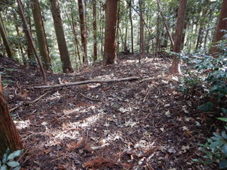 DSCN7677.JPG