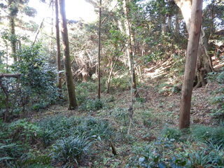 DSCN7725.JPG