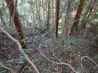 DSCN7761.JPG