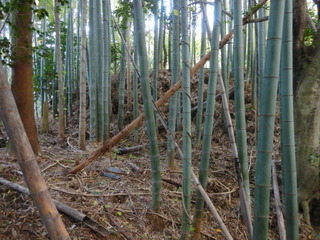 DSCN7776.JPG