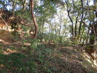 DSCN7798.JPG