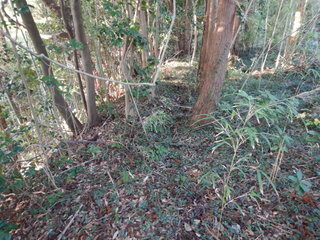 DSCN7811.JPG