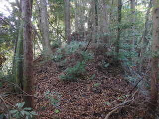 DSCN7859.JPG