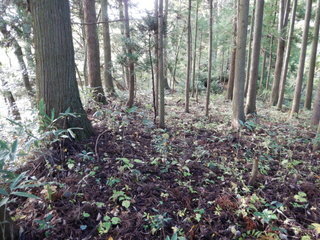 DSCN7884.JPG