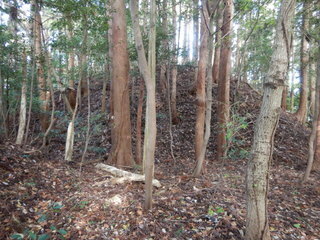 DSCN7924.JPG
