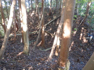DSCN7969.JPG