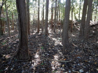 DSCN7972.JPG