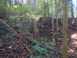 DSCN8015.JPG
