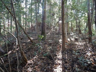 DSCN8025.JPG