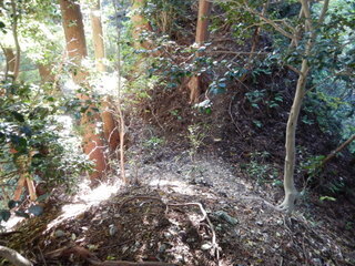 DSCN8054.JPG