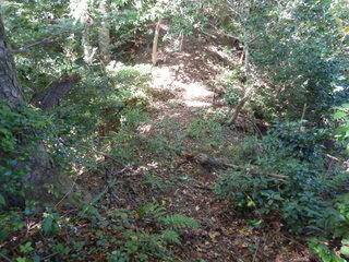 DSCN8086.JPG