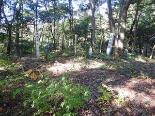 DSCN8100.JPG