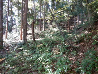 DSCN8147.JPG
