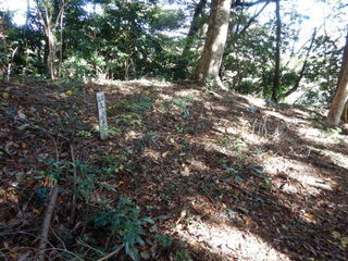 DSCN8236.JPG