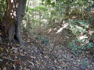 DSCN8337.JPG