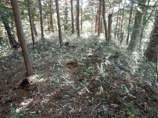 DSCN8420.JPG