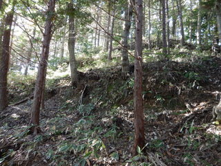 DSCN8430.JPG