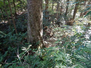 DSCN8450.JPG