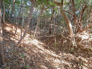 DSCN8513.JPG
