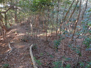 DSCN8593.JPG