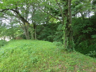 IMG_0688.JPG