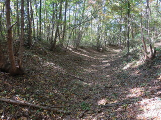 IMG_1215.JPG
