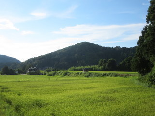 IMG_1272.JPG