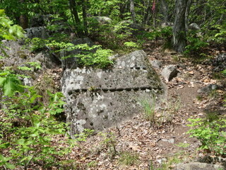 IMG_5035.JPG