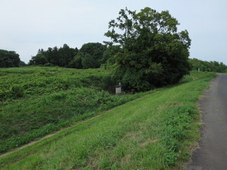 IMG_5487.JPG