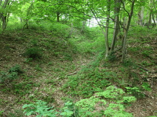 IMG_5575.JPG