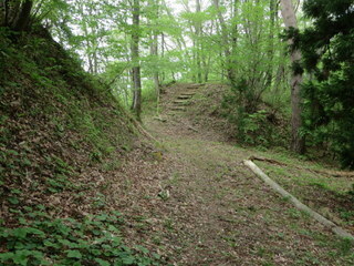 IMG_5854.JPG