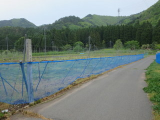 IMG_6226.JPG