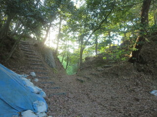 IMG_7770.JPG