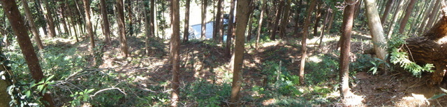 IMG_8039a.JPG