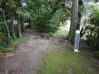 DSCN0118.JPG