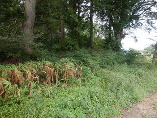 DSCN0135.JPG