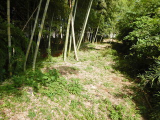 DSCN0212.JPG