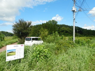 DSCN0222.JPG